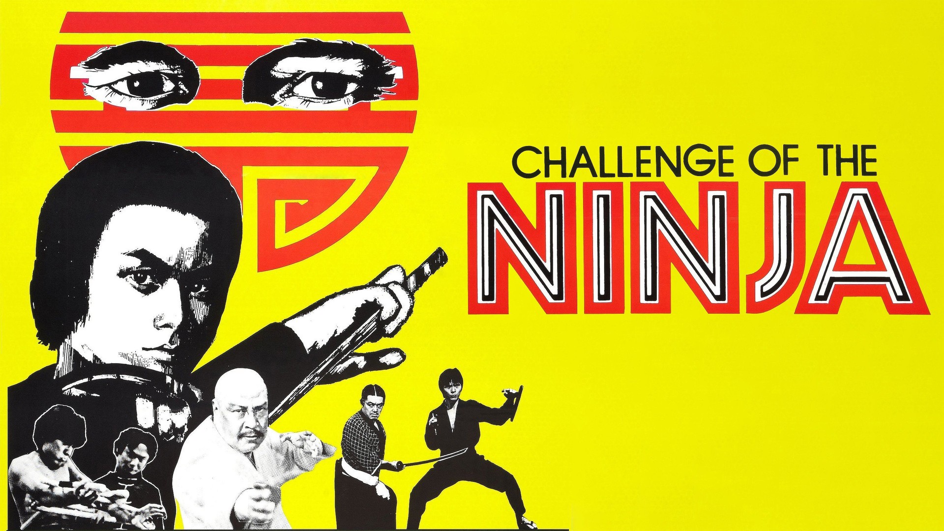 Challenge of the Ninja
