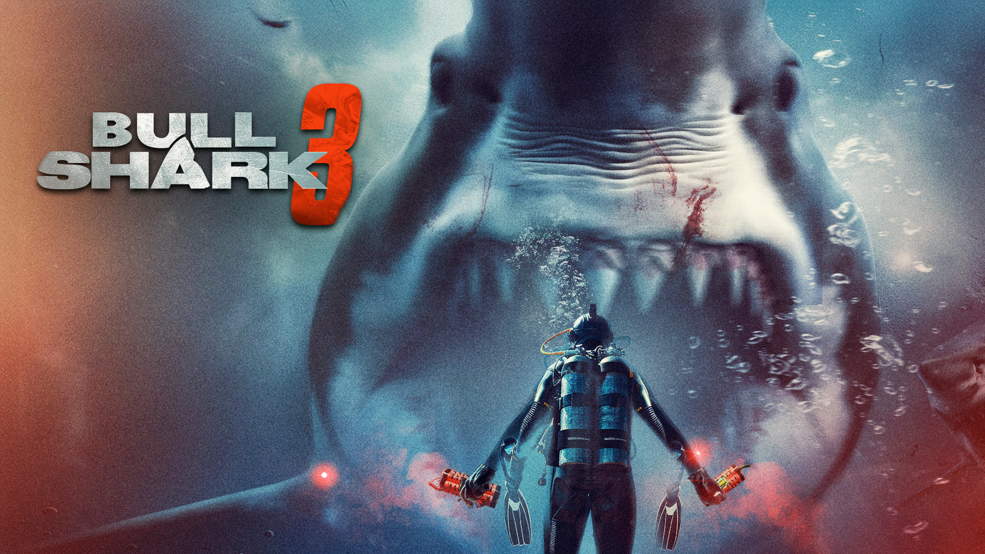Bull Shark 3