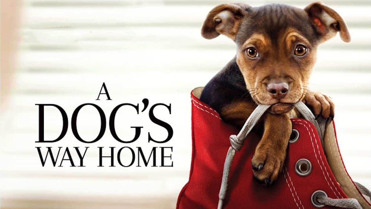 A Dog's Way Home